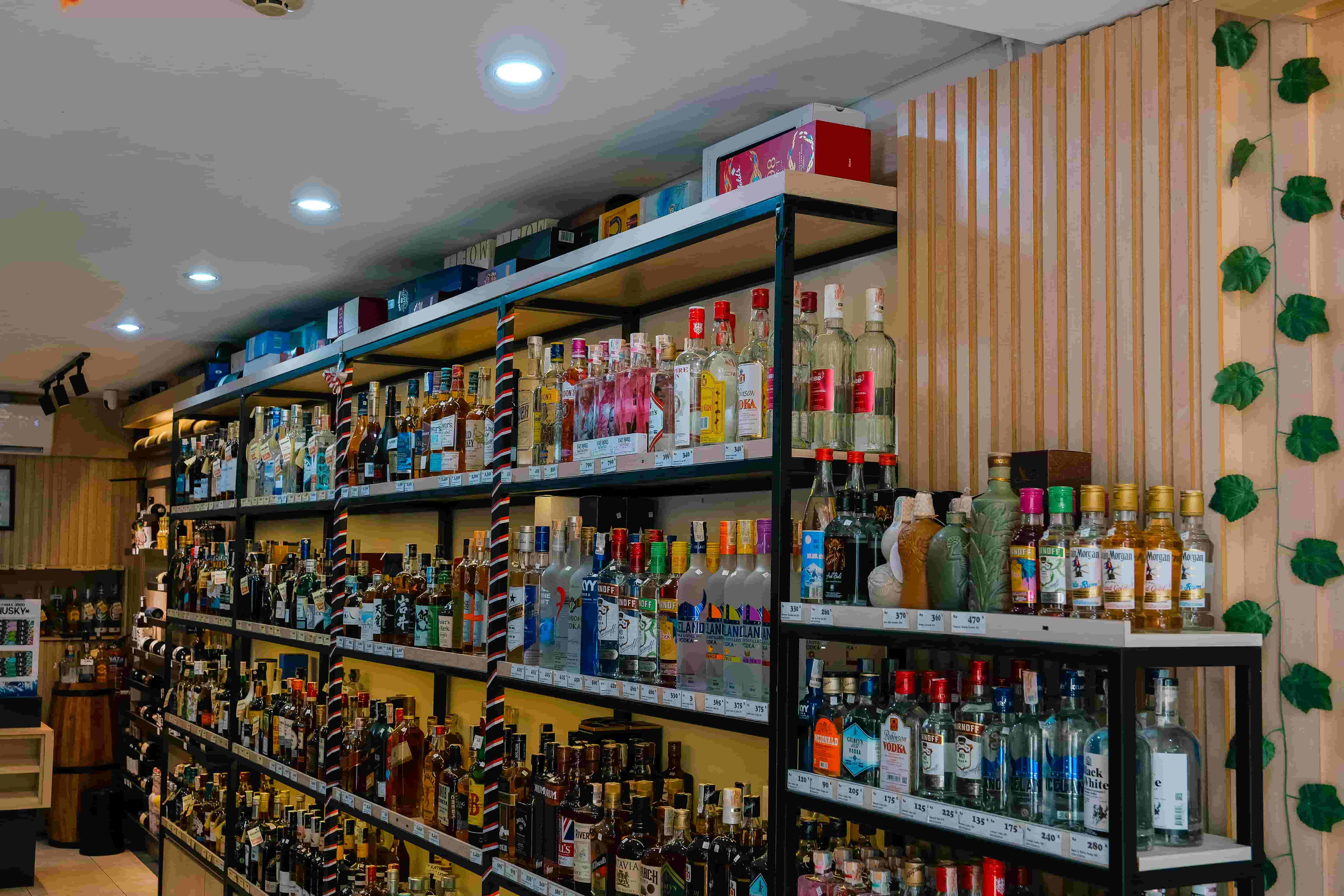 Vinocean - Gallery image 4